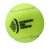 Bullpadel Next Pro (3db/tubus) padellabda